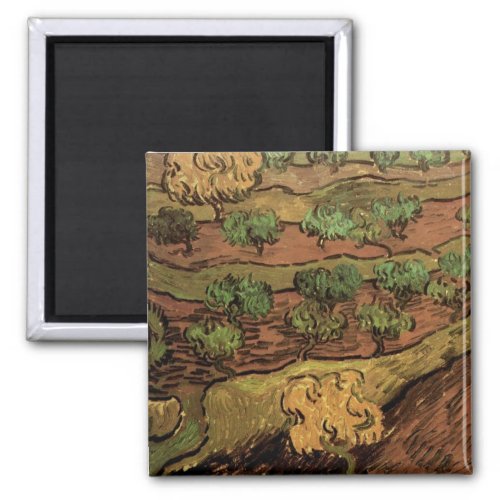 Van Gogh Olive Trees Against a Slope of a Hill Magnet