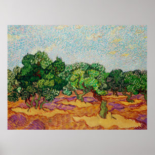 Van Gogh - Olive Trees,  Poster