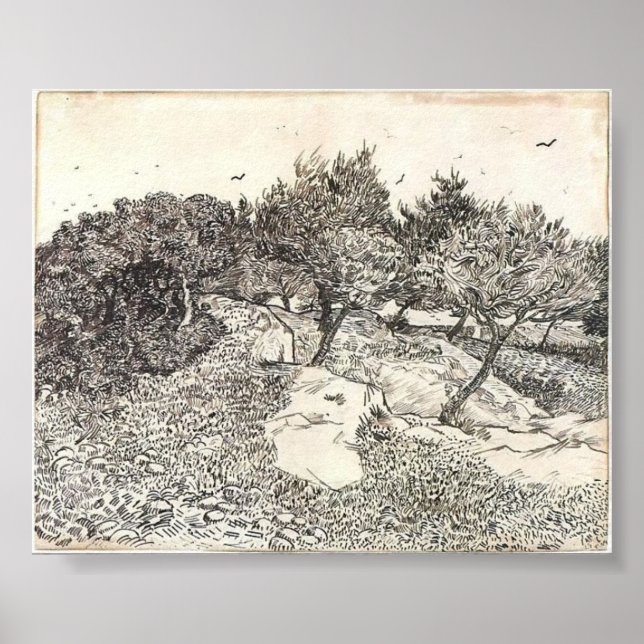 Van Gogh - Olive Trees Poster (Front)
