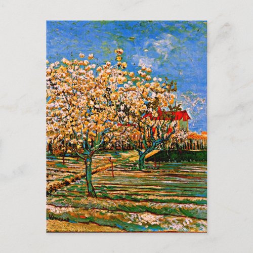 Van Gogh _ Orchard in Blossom Postcard