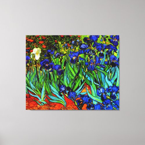 Van Gogh painting Irises Canvas Print