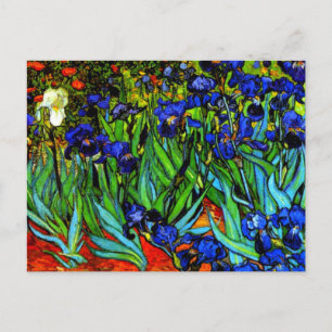 Van Gogh painting, Irises, Postcard