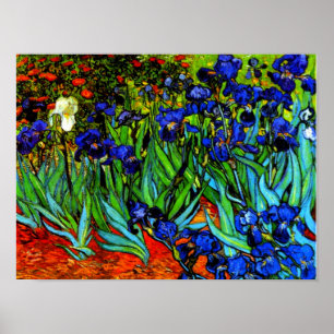Van Gogh painting, Irises, Poster