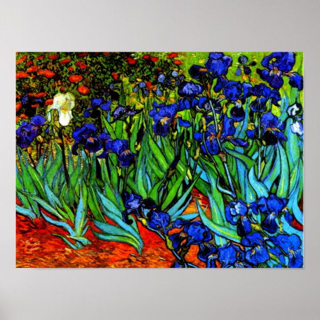 Van Gogh painting, Irises, Poster (Front)