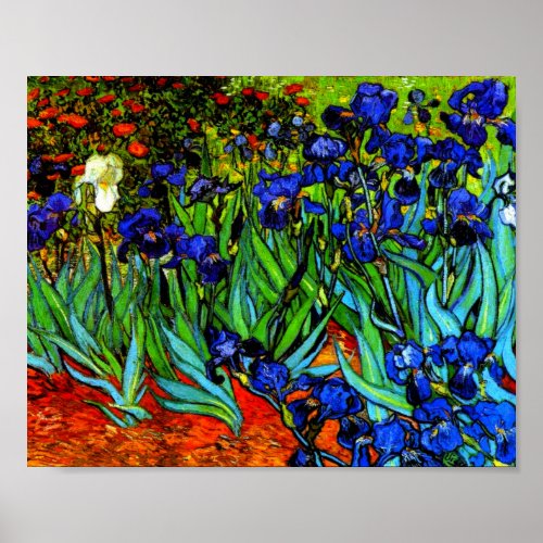 Van Gogh painting Irises Poster