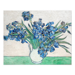 Van Gogh Painting of Irises from (1890) Photo Print