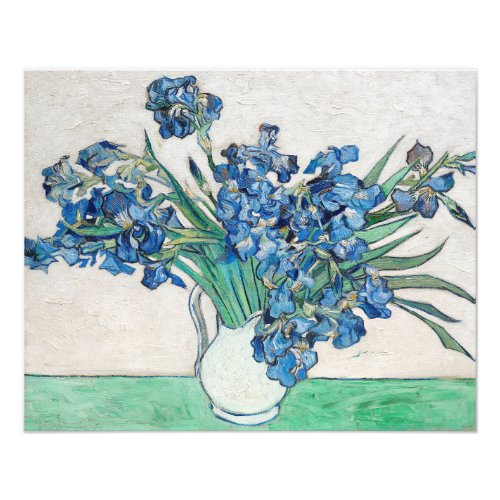 Van Gogh Painting of Irises from 1890 Photo Print