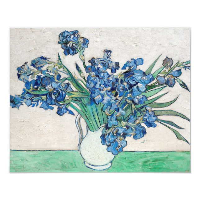 Van Gogh Painting of Irises from (1890) Photo Print (Front)