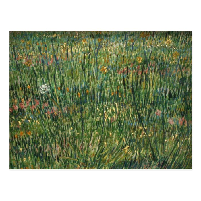 van gogh   patch of grass post card