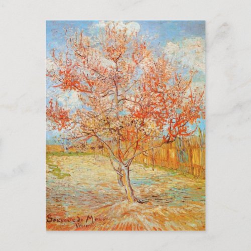 Van Gogh Pink Peach Tree in Blossom Postcard