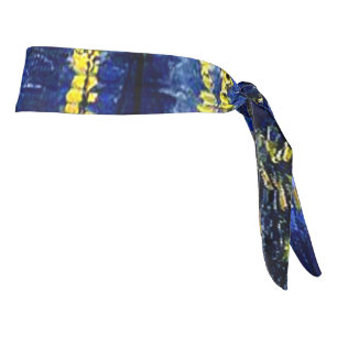 Van Gogh, Starry Night over the Rhone Tie Headband
