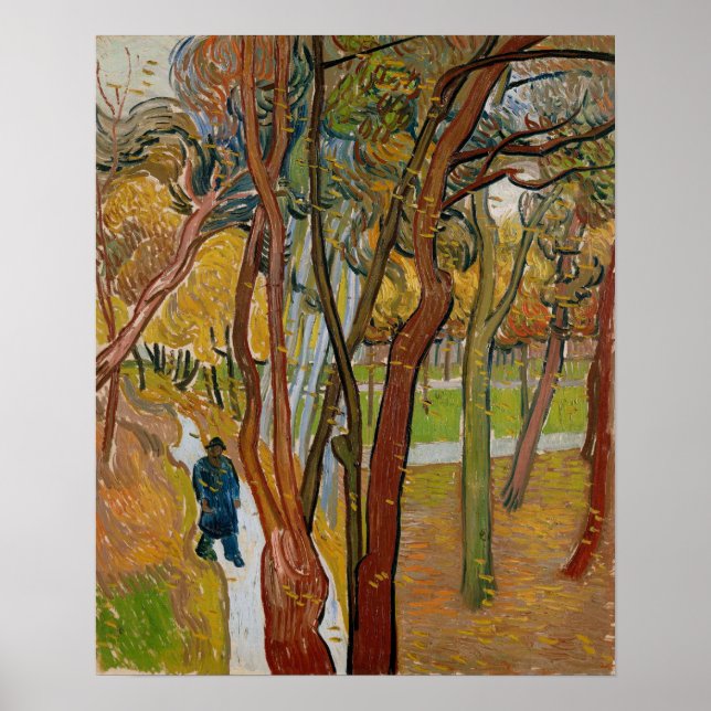 Van Gogh - The Garden Of Saint Paul's Hospital Poster (Front)