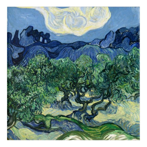 Van Gogh The Olive Trees Landscape Painting Acrylic Print