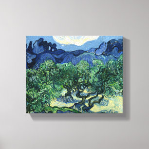 Van Gogh The Olive Trees Landscape Painting Canvas Print