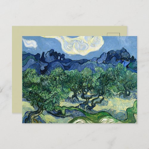 Van Gogh The Olive Trees Landscape Painting Postcard