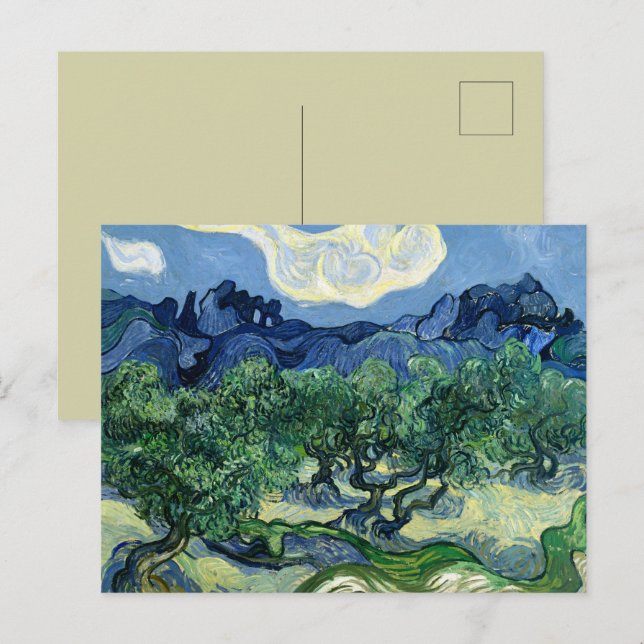 Van Gogh The Olive Trees Landscape Painting Postcard (Front/Back)