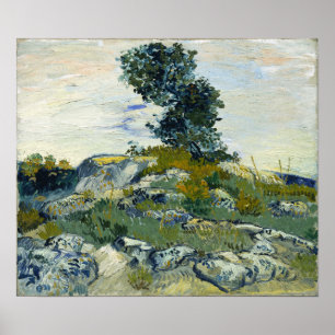 Van Gogh - The Rocks Poster