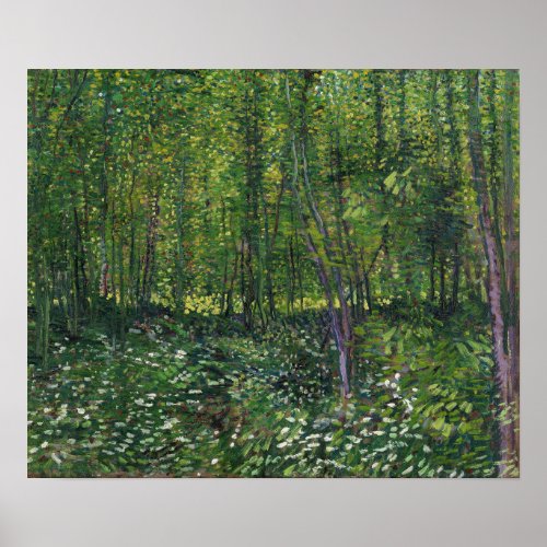 Van Gogh _ Trees And Undergrowth Poster