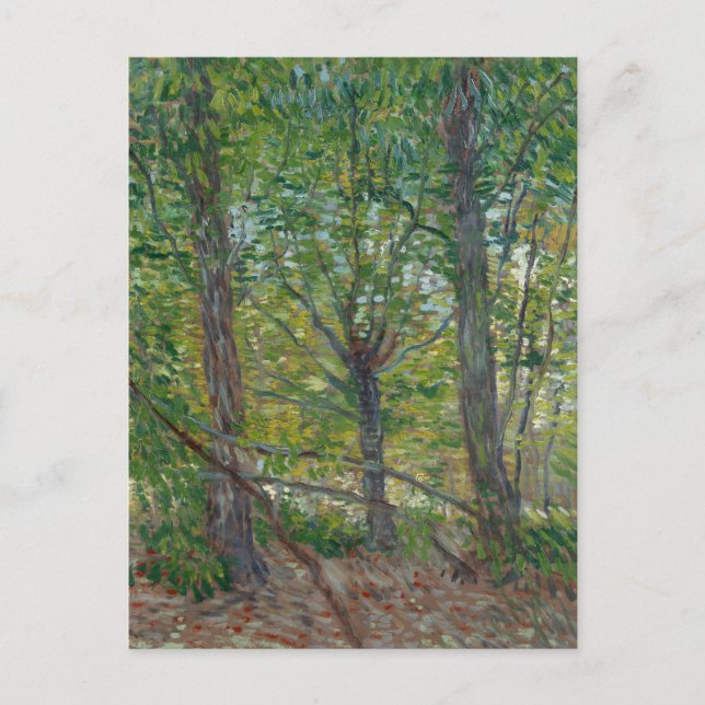 Van Gogh Trees and Underwood(F307) Fine Art Postcard (Front)