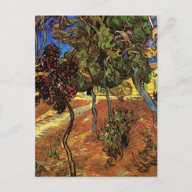 Van Gogh Trees in the Garden, Saint Paul Hospital Postcard (Front)
