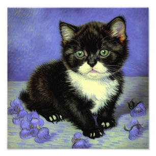 Van Gogh Tuxedo Kitten Photo Print