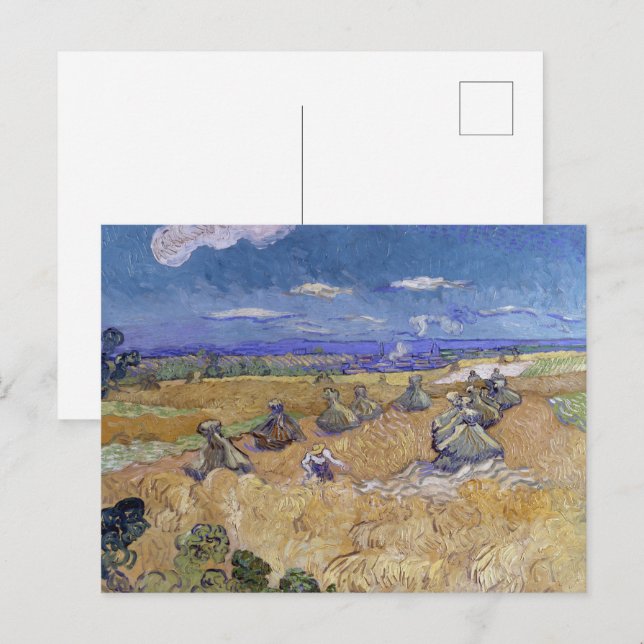 Van Gogh Wheat Field - Golden Harvest Art Postcard (Front/Back)