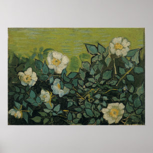 Van Gogh - Wild Roses Poster