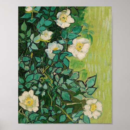 Van Gogh Wild Roses Poster