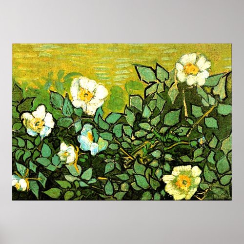 Van Gogh _ Wild Roses Van Gogh floral painting Poster