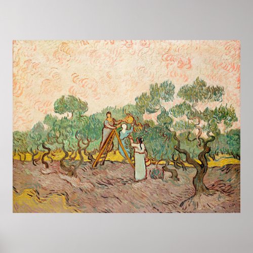 Van Gogh _ Women Picking Olives Poster