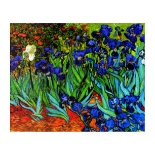 Van Gogh's painting, Irises Acrylic Print