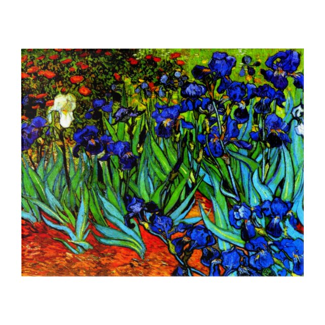 Van Gogh's painting, Irises Acrylic Print (Front)