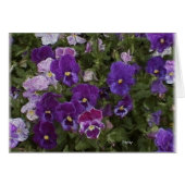 van gross etc 025 (Front Horizontal)