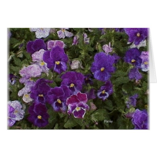 van gross etc 025 (Front Horizontal)