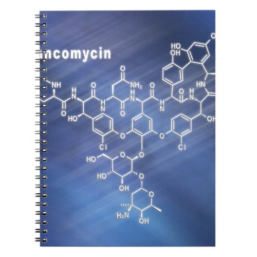 Vancomycin antibiotic notebook