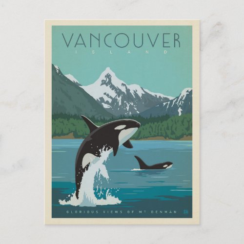 Vancouver Island  Killer Whales Postcard