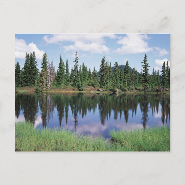 Vancouver Island, Strathcona Provincial Park 2 Postcard (Front)