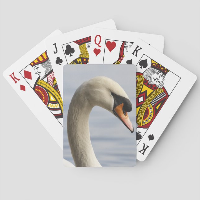 Vancouver, Stanley Park, Mute Swan (Cygnus olor) 2 Poker Cards (Back)