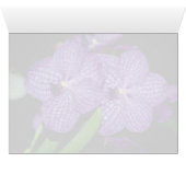 Vanda flowers cards (Inside Horizontal (Bottom))