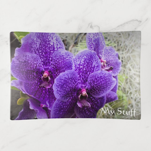 Vanda Orchid Blue Flowers Trinket Tray (Front)