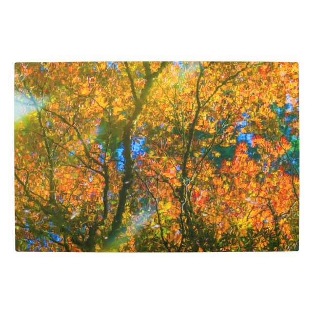 VanDusen Botanical Garden Vancouver, Canada Metal Print (Front)