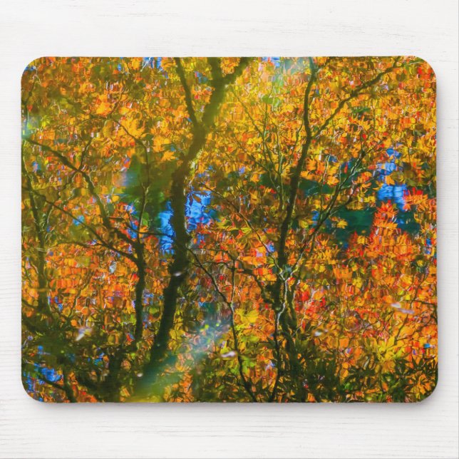 VanDusen Botanical Garden Vancouver, Canada Mouse Pad (Front)