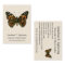 Vanessa cardui - The Painted Lady Butterfly Busine