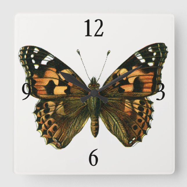 Vanessa cardui - The Painted Lady Butterfly Square Wall Clock (Front)