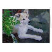 Vanilla Bean (Front Horizontal)