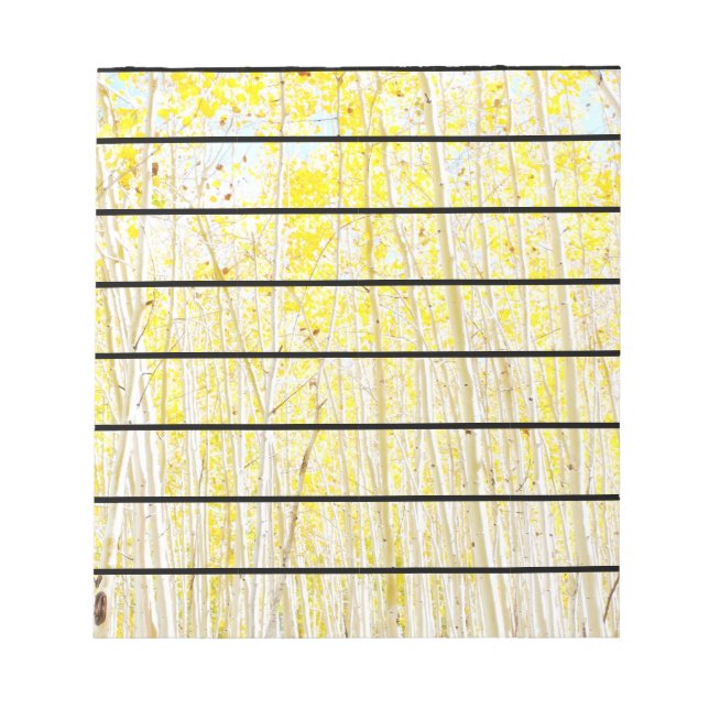 Vanilla Cake Aspen trees Flagstaff, Arizona Notepad (Front)