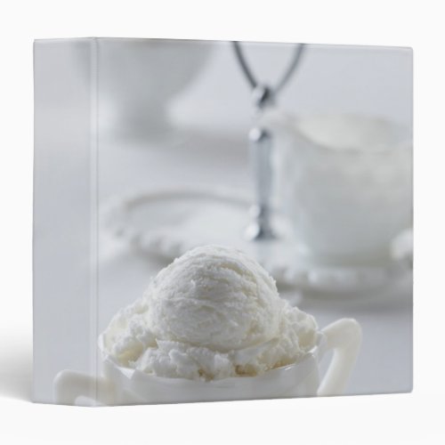 Vanilla ice cream in a white environment binder