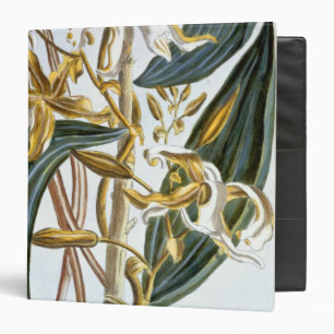 Vanilla pods, plate 65, from 'Collection Precieuse 3 Ring Binder