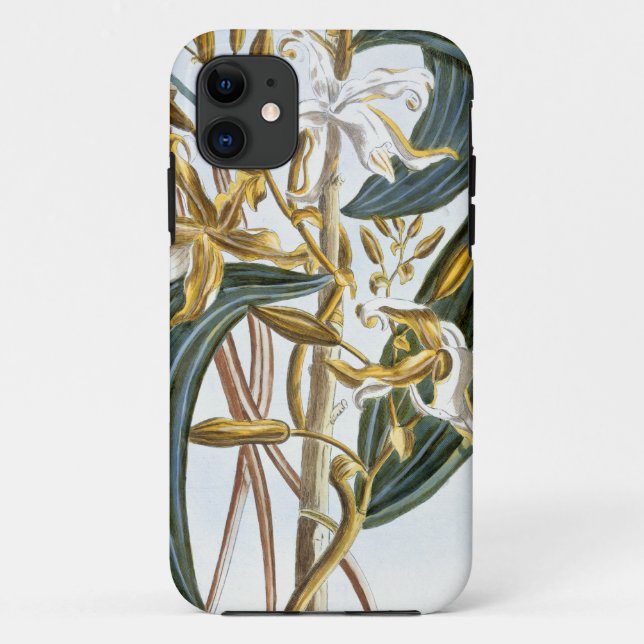 Vanilla pods, plate 65, from 'Collection Precieuse Case-Mate iPhone Case (Back)