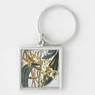 Vanilla pods, plate 65, from 'Collection Precieuse Keychain